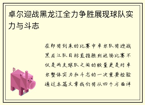 卓尔迎战黑龙江全力争胜展现球队实力与斗志
