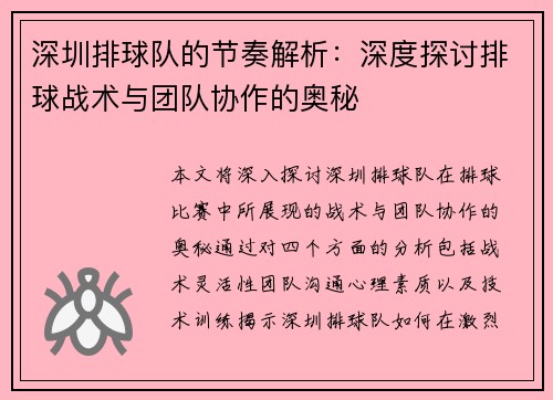 深圳排球队的节奏解析：深度探讨排球战术与团队协作的奥秘