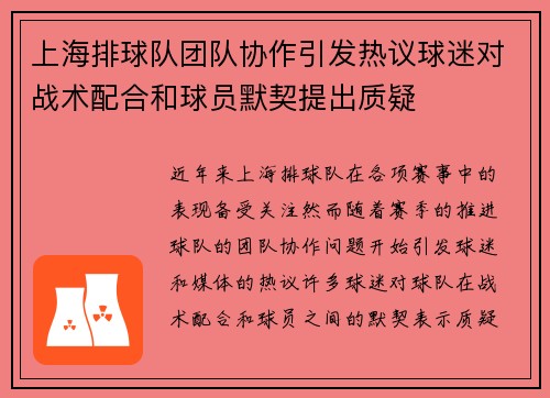 上海排球队团队协作引发热议球迷对战术配合和球员默契提出质疑
