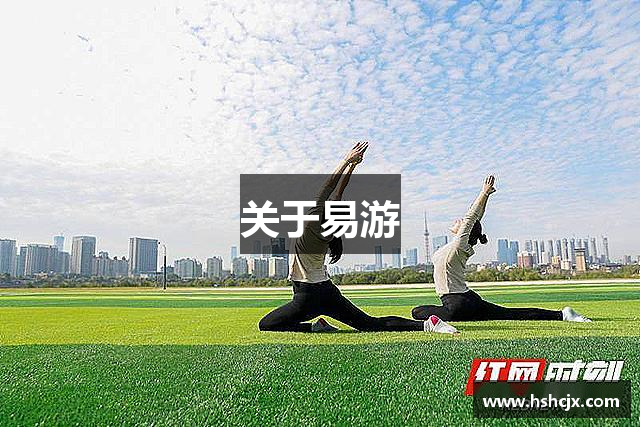 关于易游